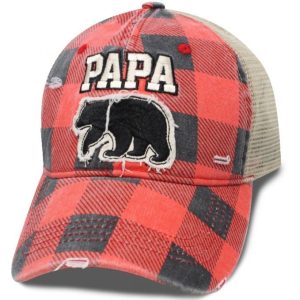 Shtvpp Papa bear