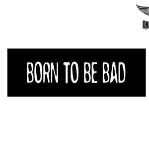 Biker Helmet Sticker