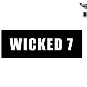 Biker Helmet Sticker