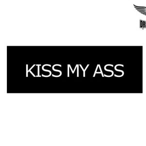 Biker Helmet Sticker
