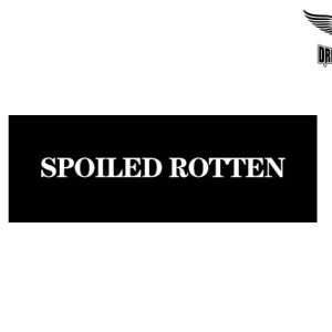 Biker Helmet Sticker