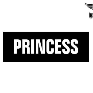 Biker Helmet Sticker