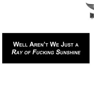 Biker Helmet Sticker