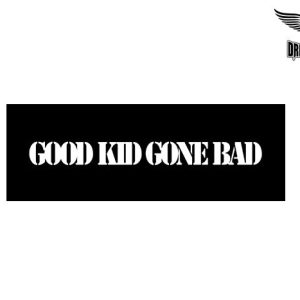 Biker Helmet Sticker