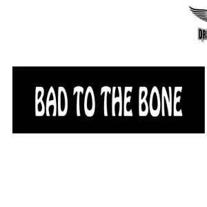 Biker Helmet Sticker