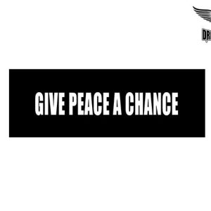 Biker Helmet Sticker