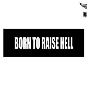 Biker Helmet Sticker
