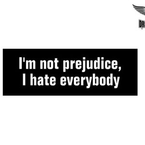 Biker Helmet Sticker