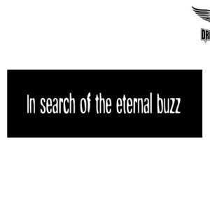 Biker Helmet Sticker