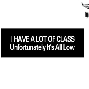 Biker Helmet Sticker