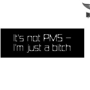 Biker Helmet Sticker