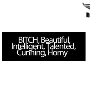 Biker Helmet Sticker