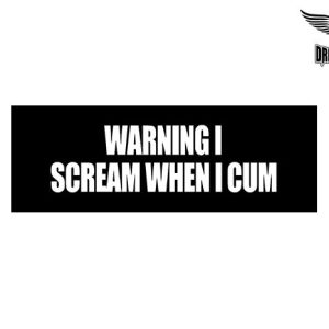Biker Helmet Sticker