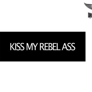 Biker Helmet Sticker