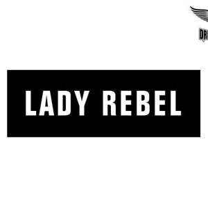 Biker Helmet Sticker