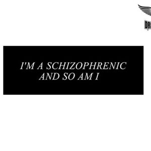 Biker Helmet Sticker