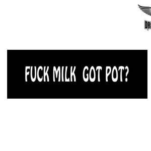 Biker Helmet Sticker