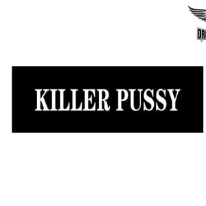 Biker Helmet Sticker
