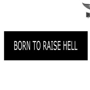 Biker Helmet Sticker