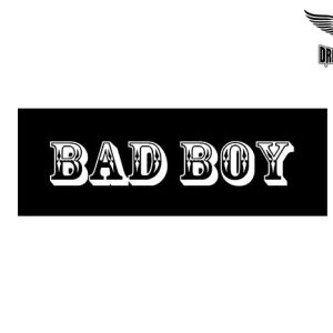 Biker Helmet Sticker