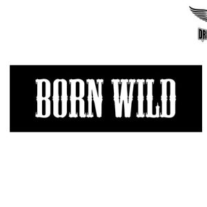 Biker Helmet Sticker