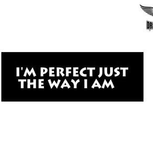 Biker Helmet Sticker