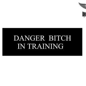 Biker Helmet Sticker
