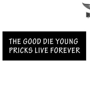 Biker Helmet Sticker