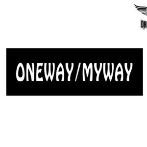 Biker Helmet Sticker