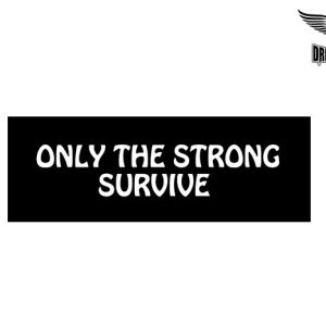 Biker Helmet Sticker