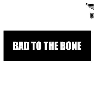 Biker Helmet Sticker