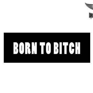Biker Helmet Sticker