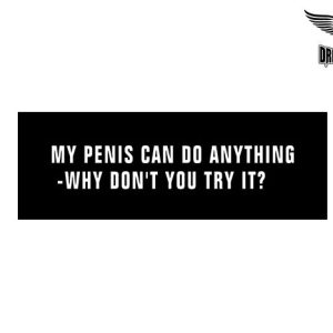 Biker Helmet Sticker