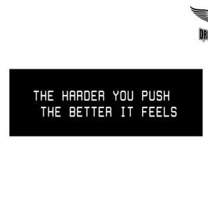 Biker Helmet Sticker