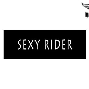 Biker Helmet Sticker