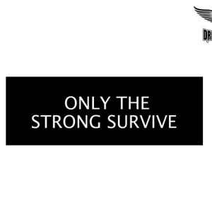 Biker Helmet Sticker