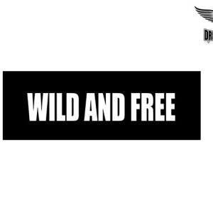 Biker Helmet Sticker