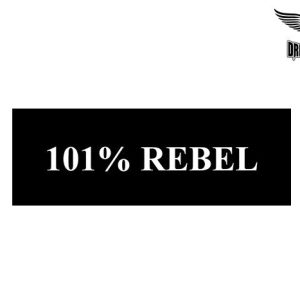 Biker Helmet Sticker