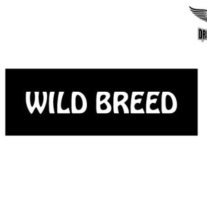 Biker Helmet Sticker