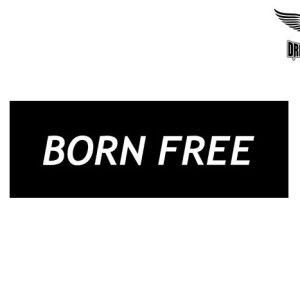 Biker Helmet Sticker