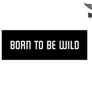 Biker Helmet Sticker