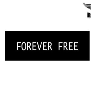 Biker Helmet Sticker