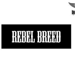 Biker Helmet Sticker