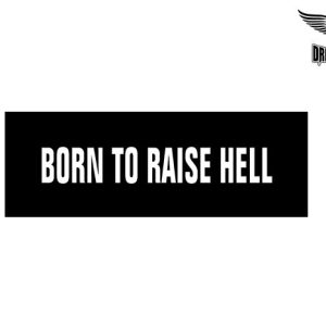 Biker Helmet Sticker