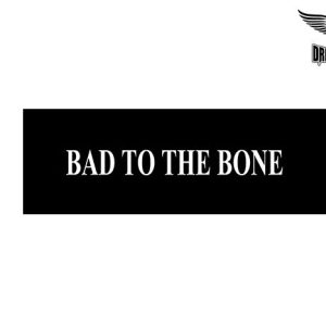 Biker Helmet Sticker