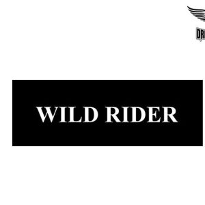Biker Helmet Sticker