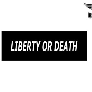 Biker Helmet Sticker