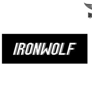 Biker Helmet Sticker