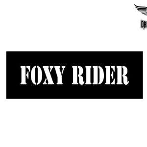 Biker Helmet Sticker