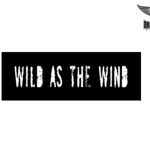 Biker Helmet Sticker
